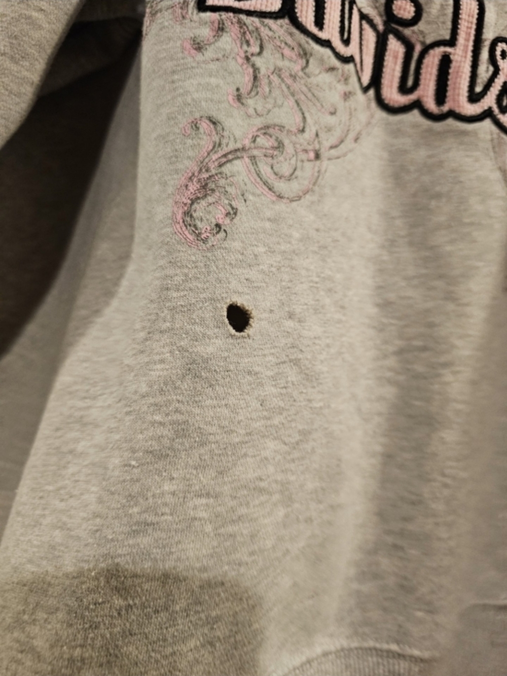 Harley-Davidson Girls' Gray & Pink HD Motorcycles Zip Hoodie Size 2W - Picture 12 of 12
